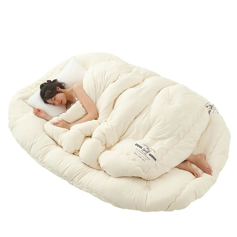 New autumn and winter wool quilt, thick and warm winter quilt, winter quick heating quilt core, universal for all seasons