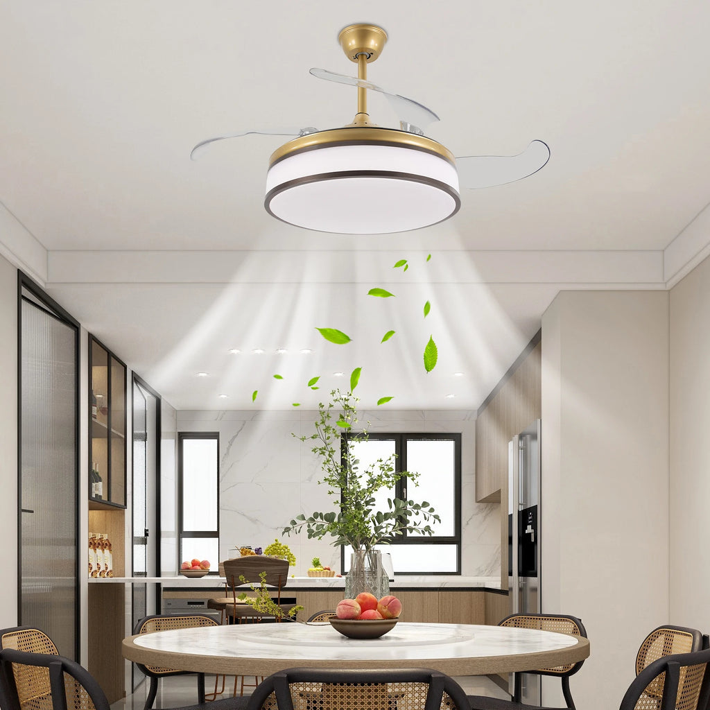42 Inch Fan Pendant Light，ceiling Fan Light, Ceiling Fan Light with Remote Control, Ceiling Fan Lamp for Bedroom Kitchen